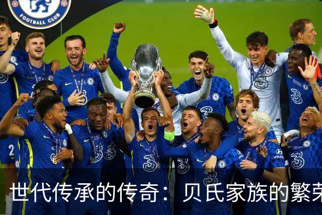 世代传承的传奇：贝氏家族的繁荣与智慧